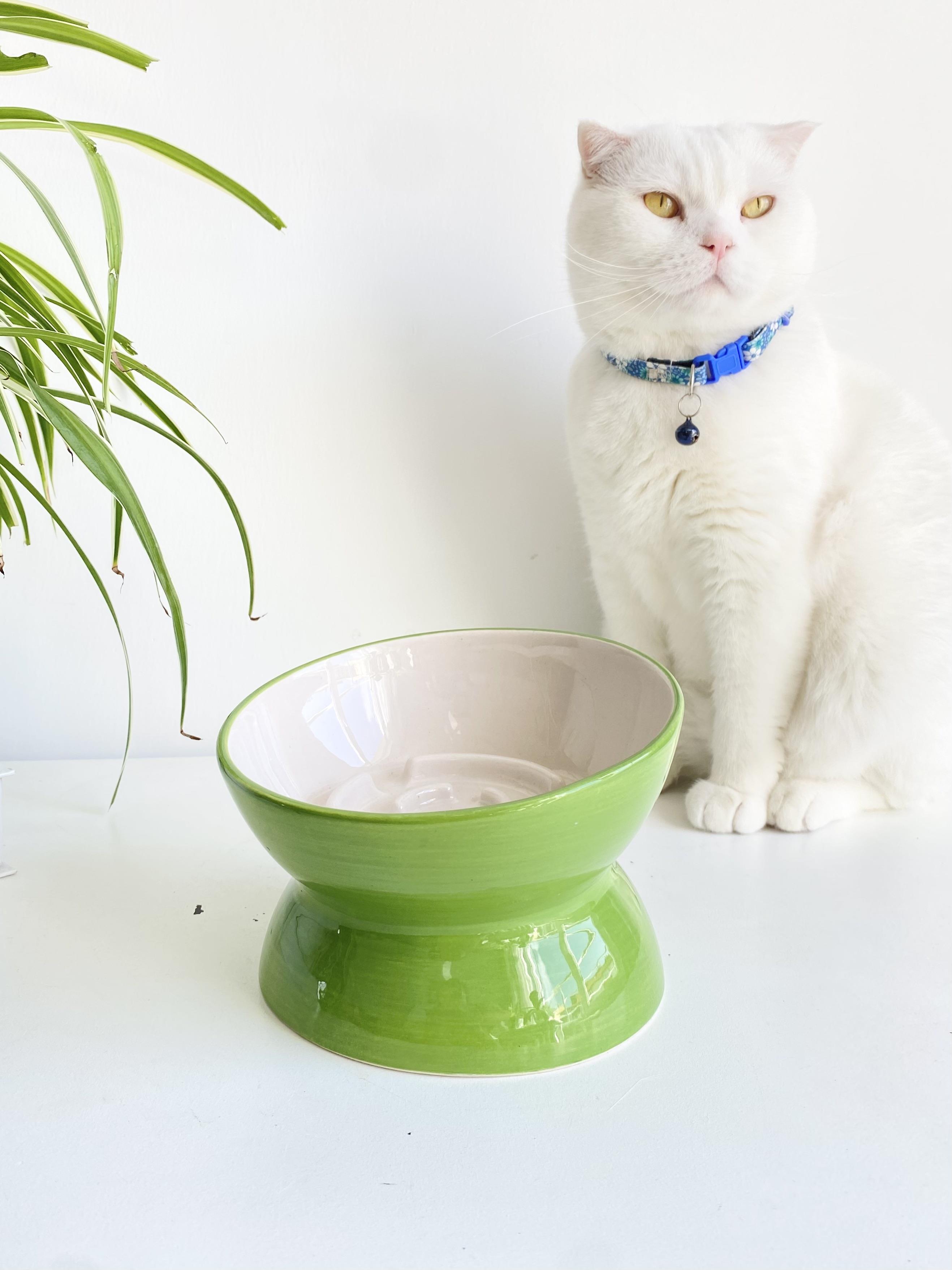 SERAMİK YAVAŞ YEME KEDİ MAMA KABI (YEŞİL)