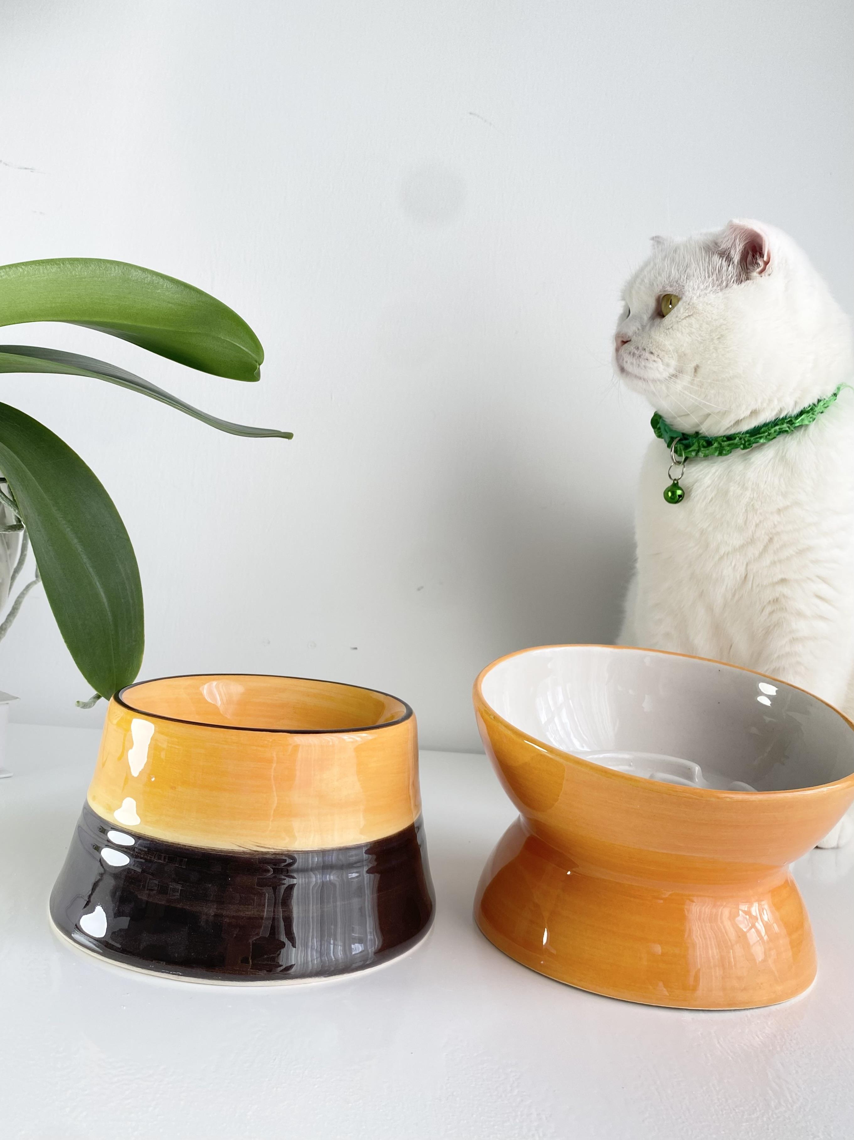 Seramik Yavaş Yeme Mama Kabı/ Colorful Moon Model( TURUNCU BEYAZ & COLORFUL MOON- 2'Lİ)