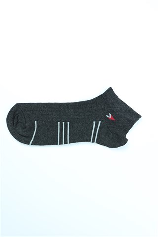 Asorti Çizgili 3Lü Erkek Patik Çorap