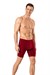 Erkek Bordo Penye Modal Uzun Boxer