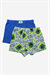 Erkek Çocuk Dinazor Desen 2li İçten Lastikli Boxer
