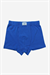 Erkek Çocuk Sax Mavi Dinazor Desen 2li İçten Lastikli Boxer