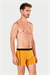 Erkek Hardal Likra Cotton Boxer