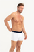 Erkek Lacivert Üzeri Kaktüs Desen 3lü Boxer 