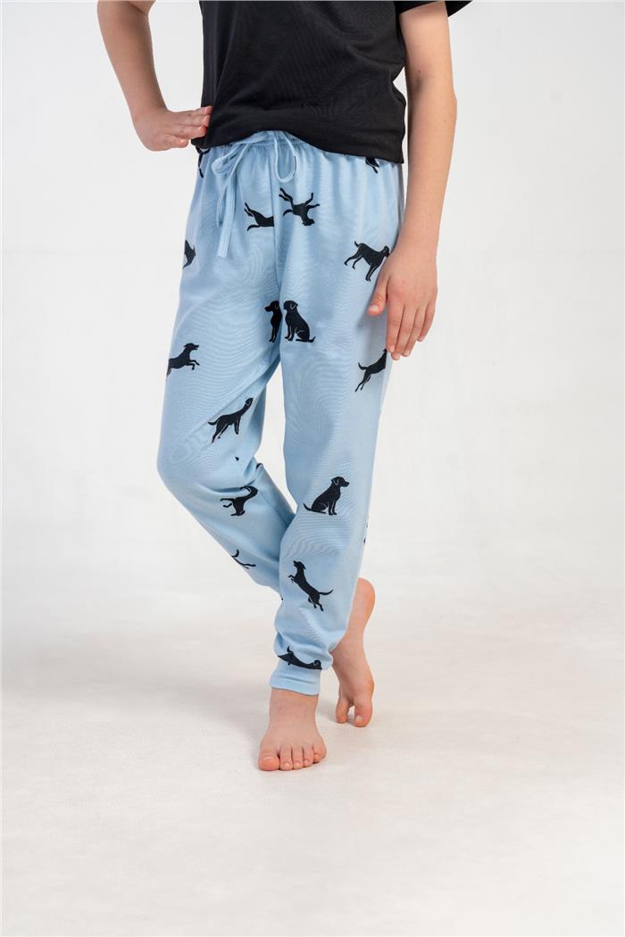 Erkek Çocuk Mavi Köpek Baskılı Bant Paça Pijama Altı
