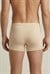 Erkek Ten Cotton Runner Boxer