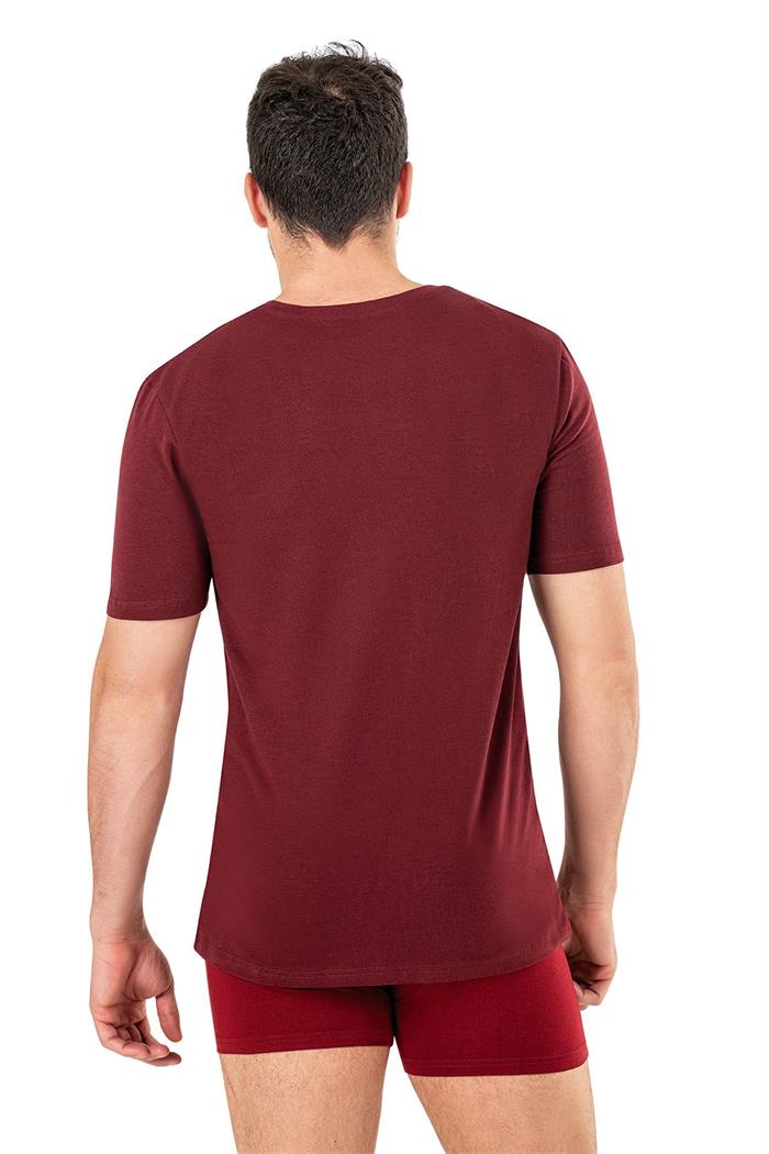 Erkek Bordo Sıfır Yaka Yarım Kol T-shirt