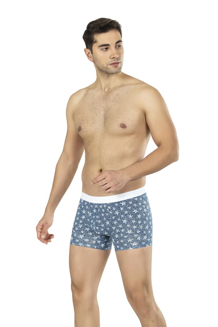 Erkek Mavi Yıldız Desen Zikzaklı Cotton Boxer