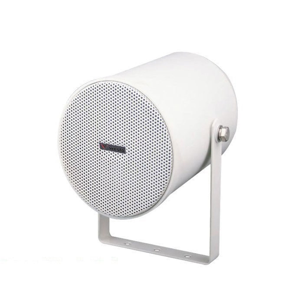 Westa WS-312-6T 20 Watt Hat Trafolu Projektör Hoparlör