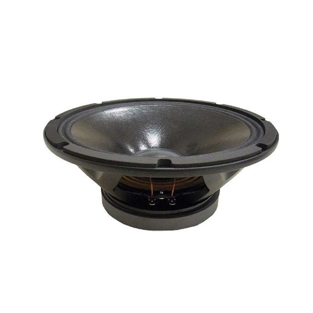 Beyma 10WR300 10 inç- 25 cm Hoparlör