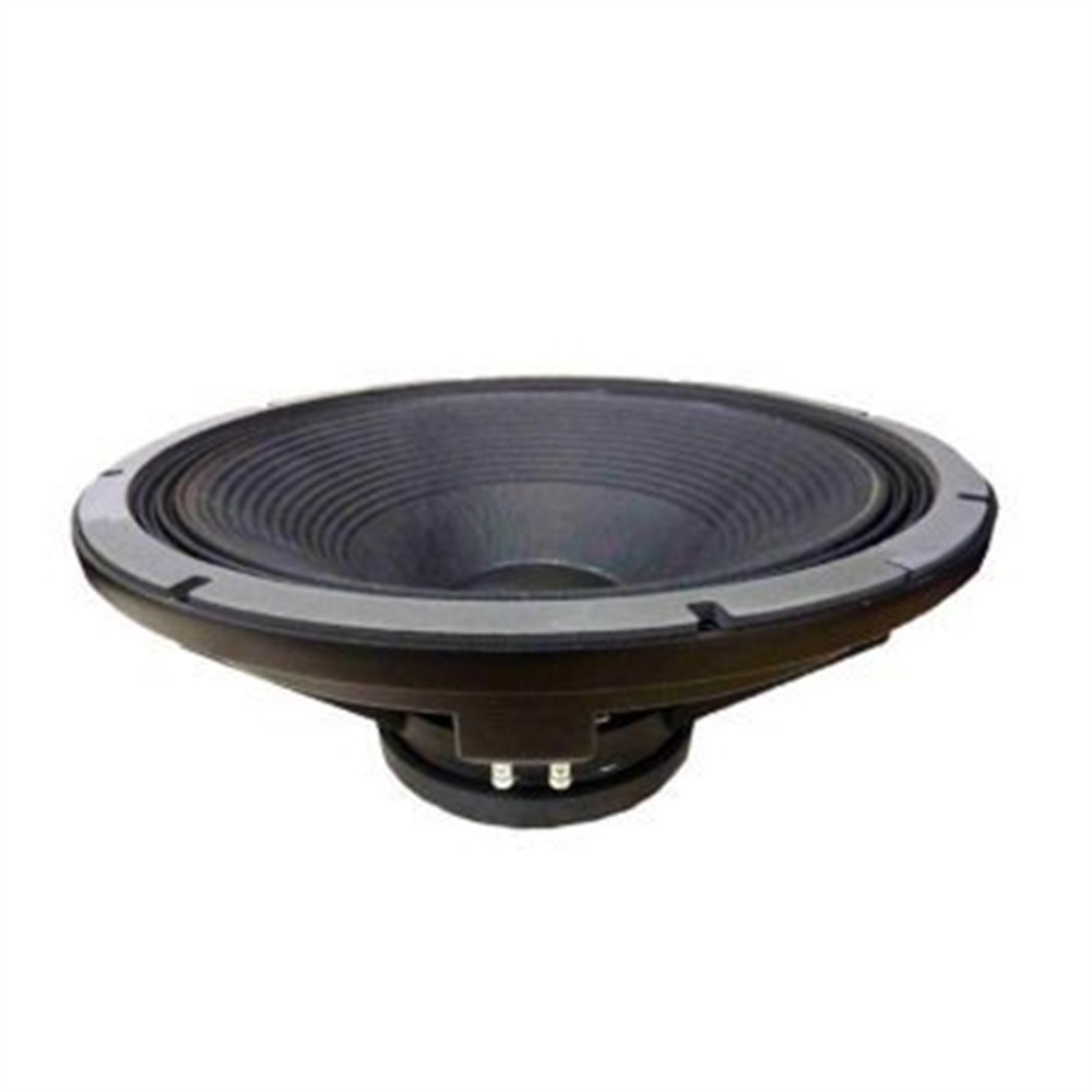 Beyma 21PW1400/Fe 21 inç 53 cm Hoparlör