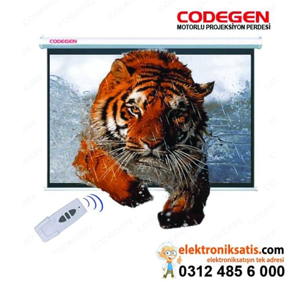 Codegen EX-20 200x200 cm Motorlu projeksiyon perdesi  (4:3 Beyaz kasali)