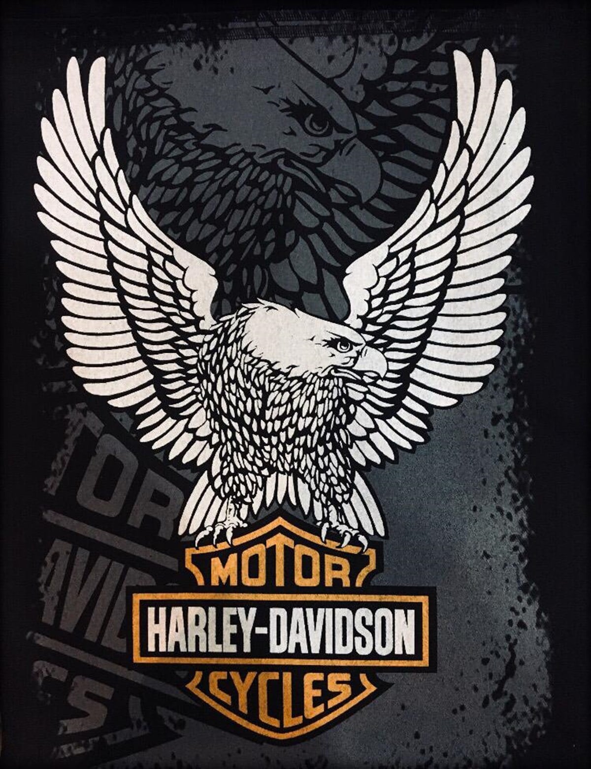 HARLEY DAVIDSON Back Patch
