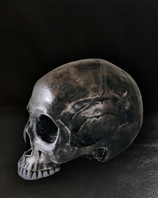 LABAL  Skull