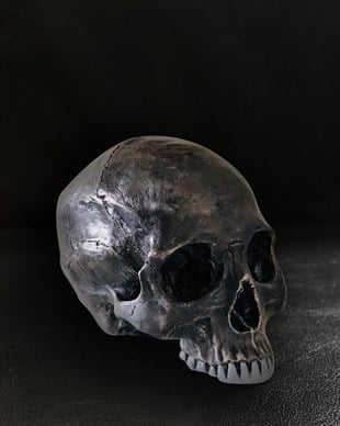 LABAL  Skull