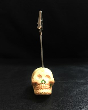 SKULL Not Tutucu