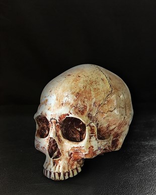 VODYANOY  Skull
