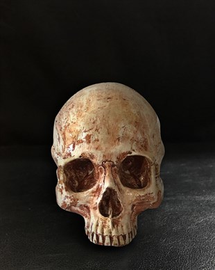 VODYANOY  Skull