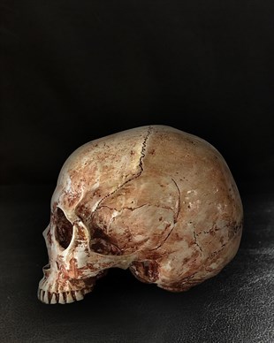 VODYANOY  Skull
