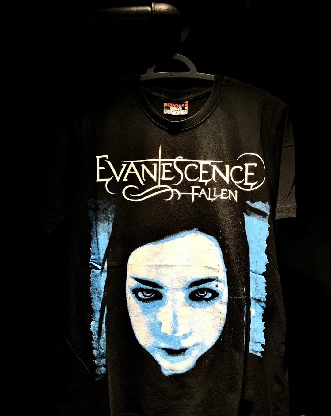 EVANESCENCE Fallen T-ShirtHeavy Craft