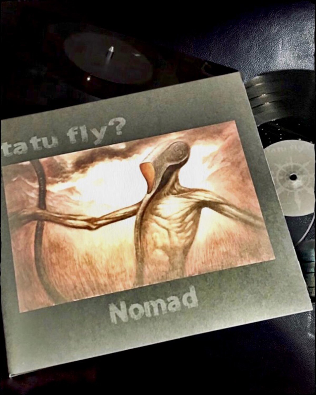 TATU FLY  Nomad  Albüm Plak