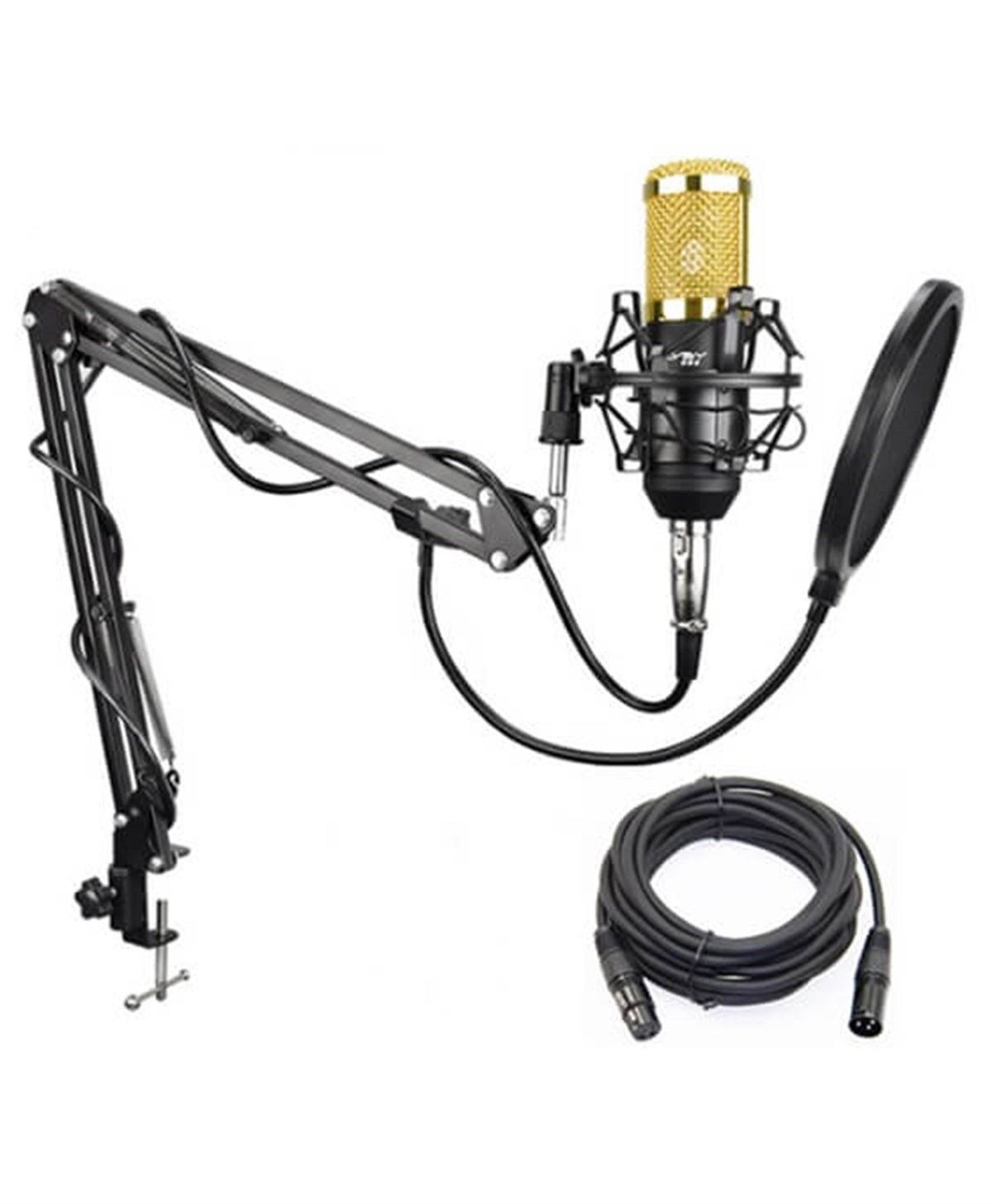 Lastvoice BM800XLR Condenser Mikrofon + Shock Mount + Stand + Pop Filtre