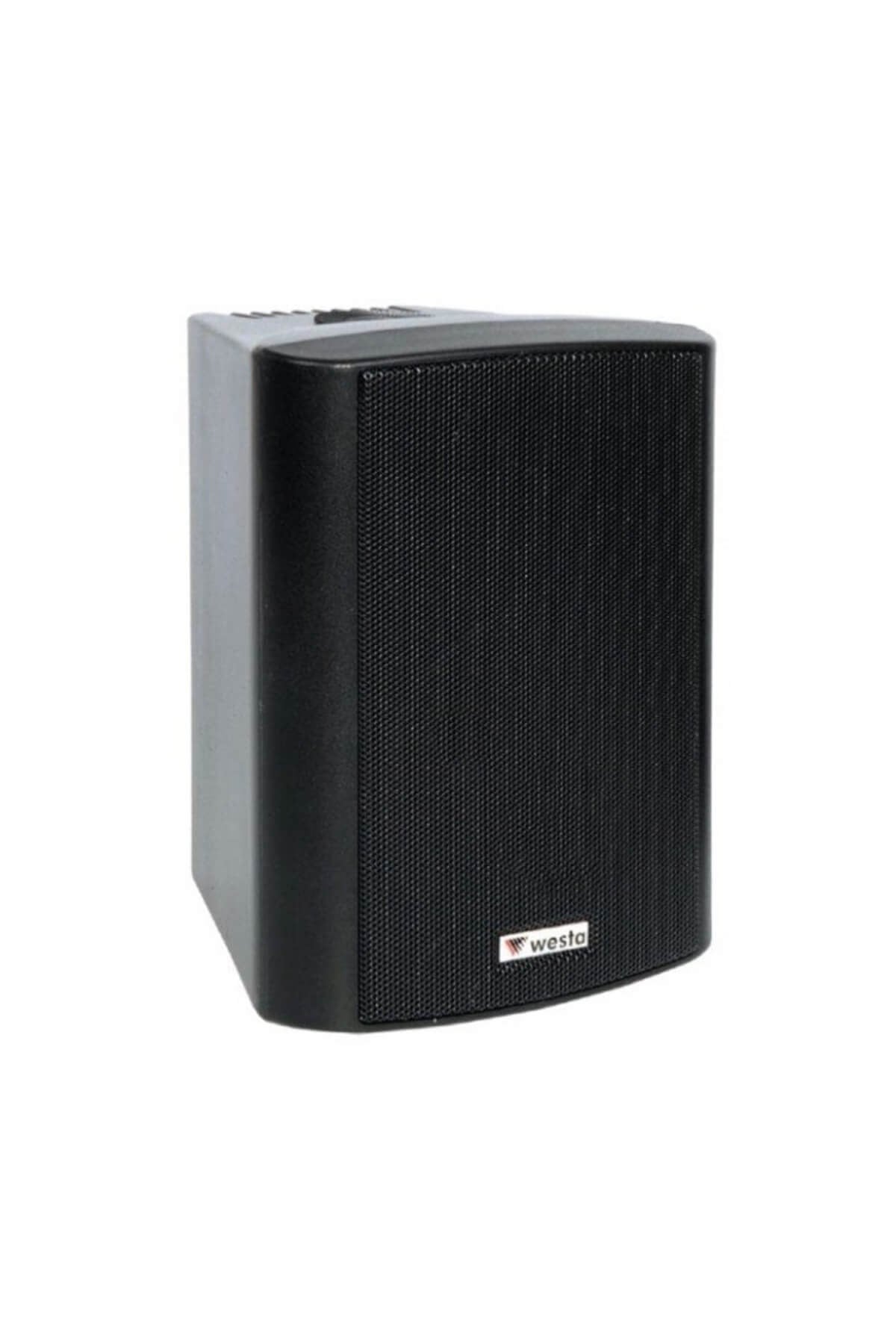 Westa Ws-4TB Duvar Tipi Hoparlör Trafolu 100 Watt