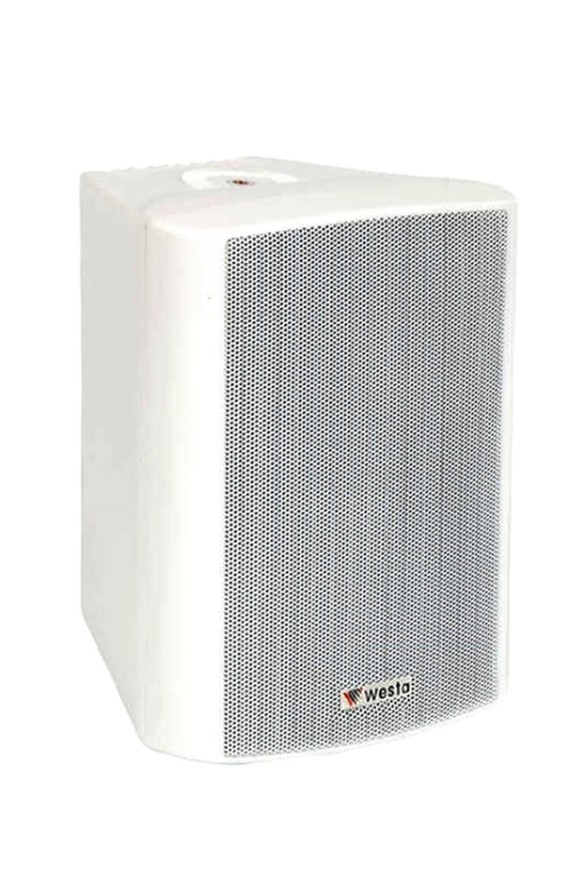 Westa WS-6TW Duvar Hoparlörü Trafolu 150 Watt