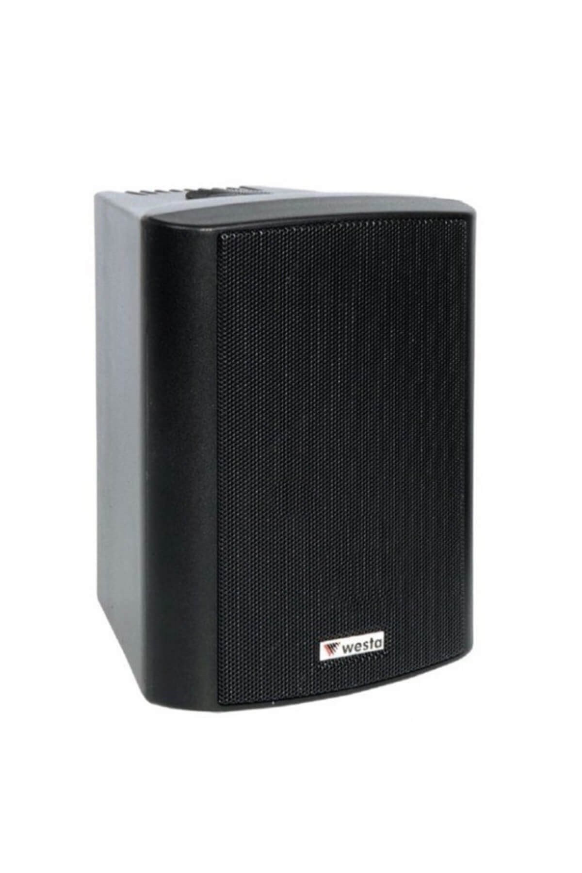 Westa WS-5TB Duvar Hoparlörü Trafolu 125 Watt