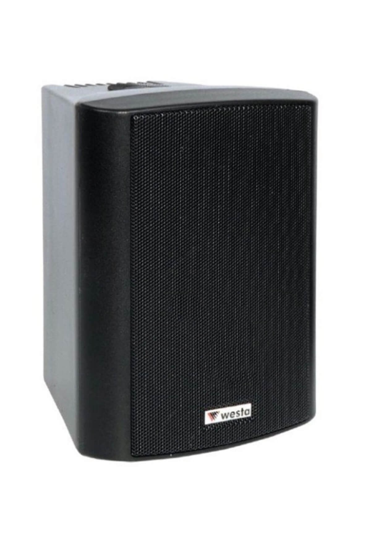 Westa WS-8TB Duvar Tipi Hoparlör Trafolu 180 Watt