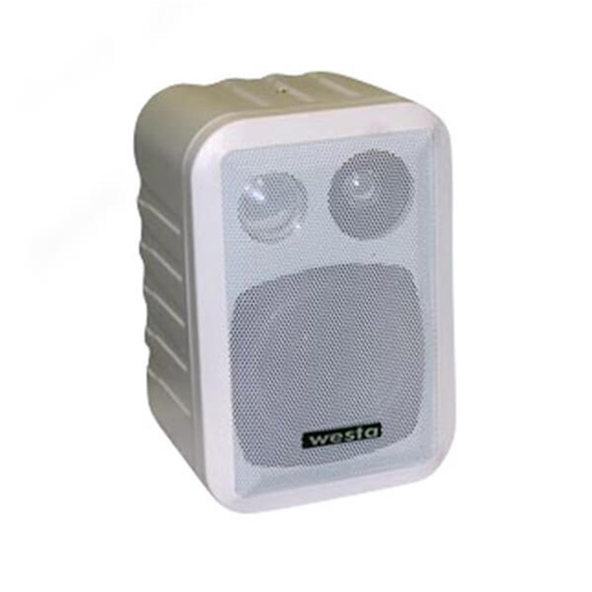 Westa Wm-305TW Duvar Tipi  Hoparlör Hat Trafolu 100 Watt