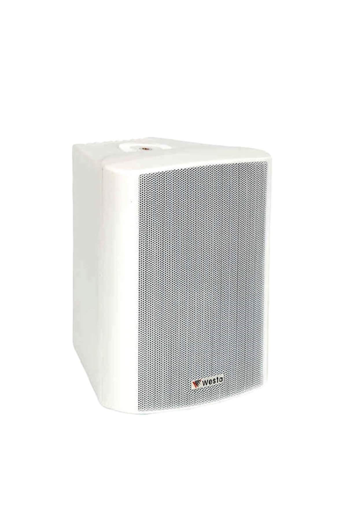 Westa WS-4W Duvar Tipi Hoparlör 100 Watt / 8 Ohm