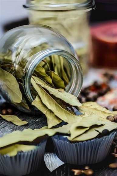 Bay Leaf