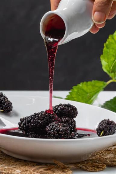 Black Mulberry Extract Special Series 700g