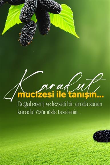 Black Mulberry Extract Special Series 700g