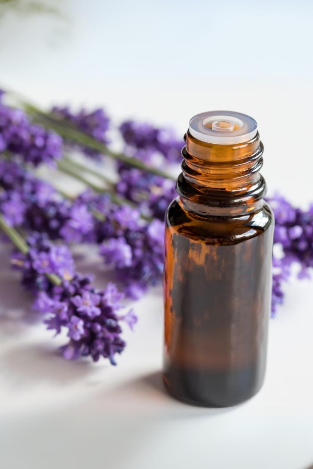 Lavender Oil 10ml