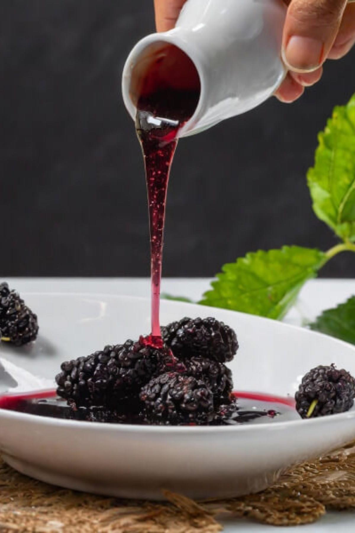 Black Mulberry Extract Special Series 700g