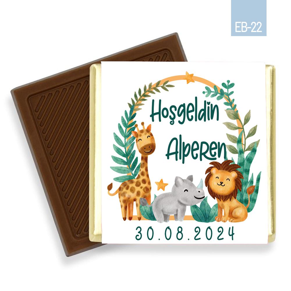 Safari Çerçeve Desenli Erkek Bebek Çikolatası (60 Adet)