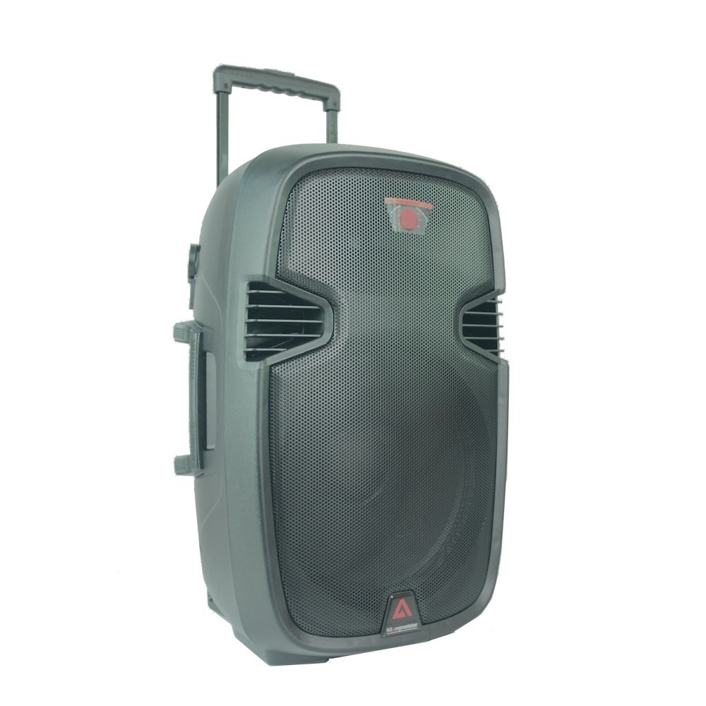 KLANGMEİSTER KP-15 15