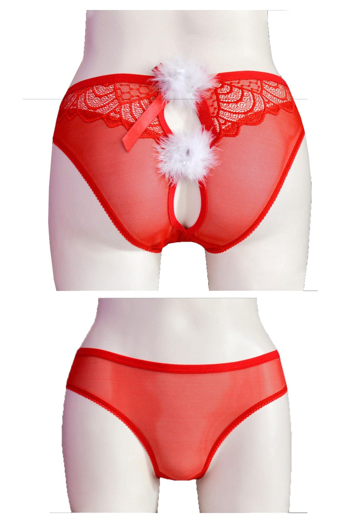 Tüllü Dantelli Arkası Dekolte 2755 Bikini Külot
