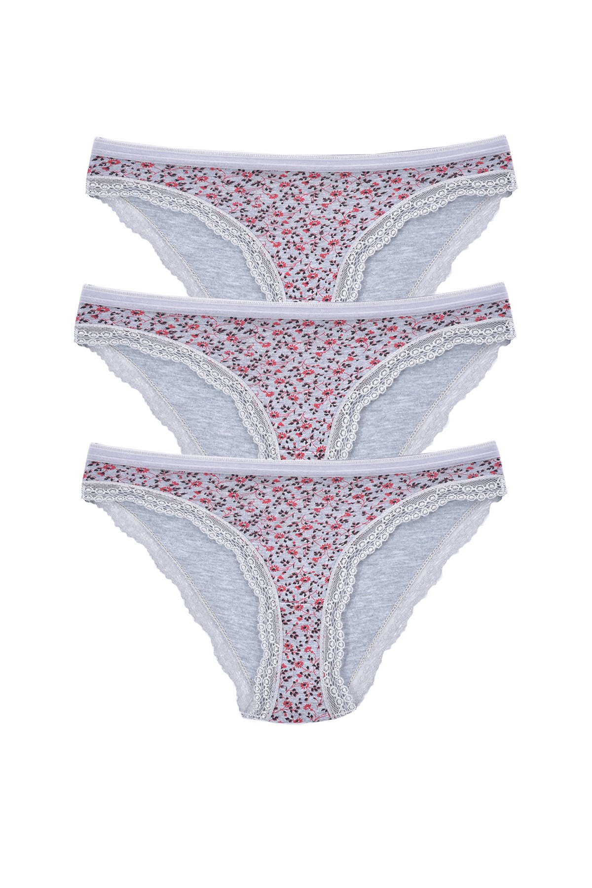 Kadın 3'lü Paket Desenli  Bikini Külot GRİ