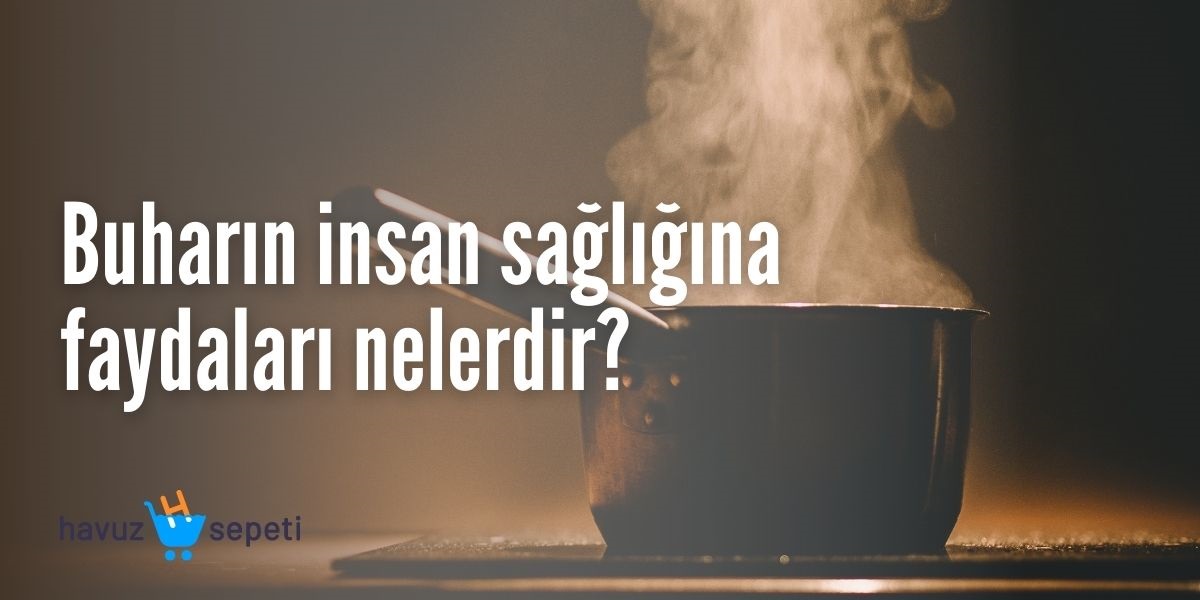 BUHARIN İNSAN SAĞLIĞINA FAYDALARI NELERDİR?