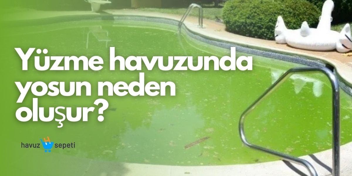 YÜZME HAVUZUNDA YOSUN NEDEN OLUŞUR?