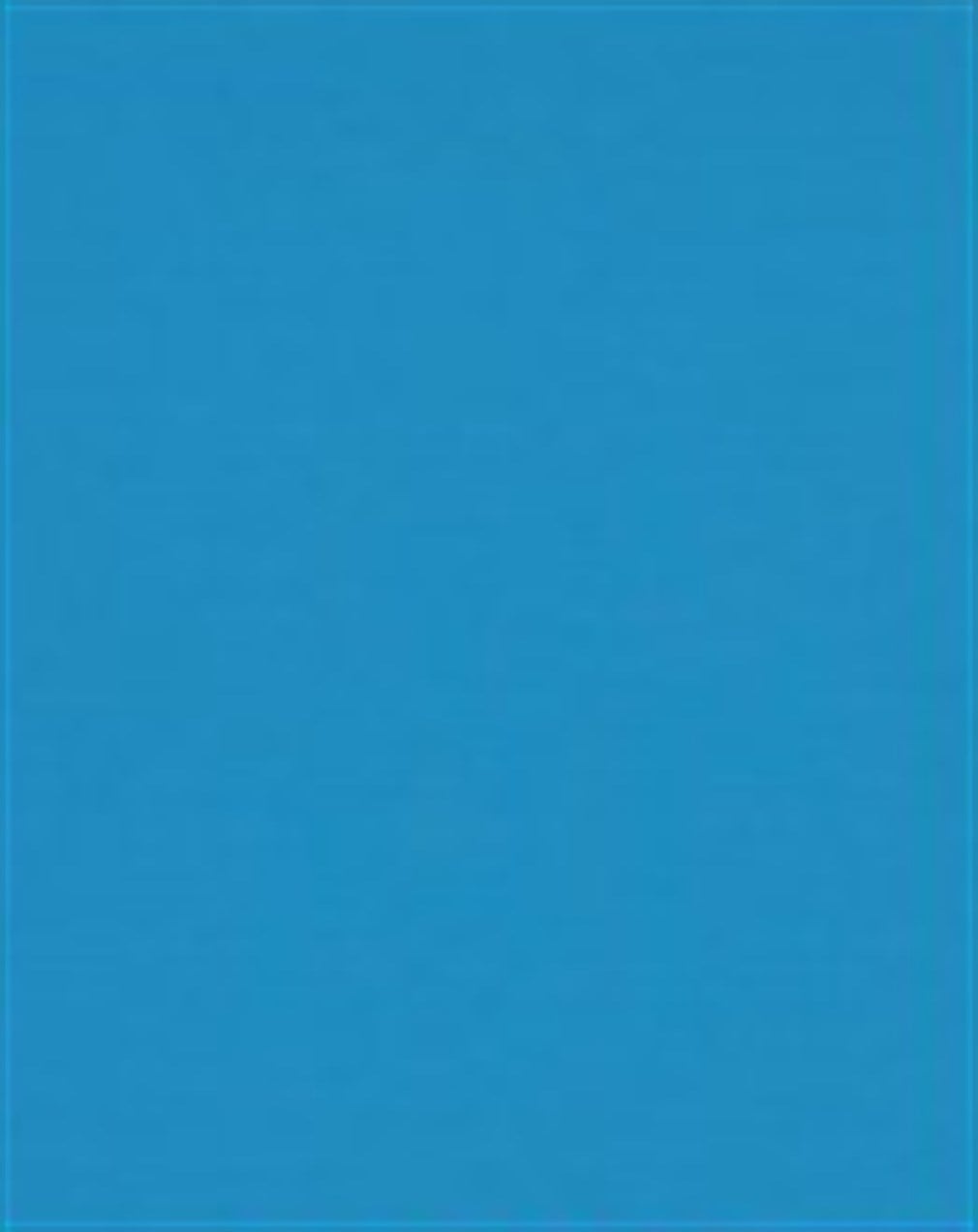 53594 AB Tek Renkli Liner- Mat