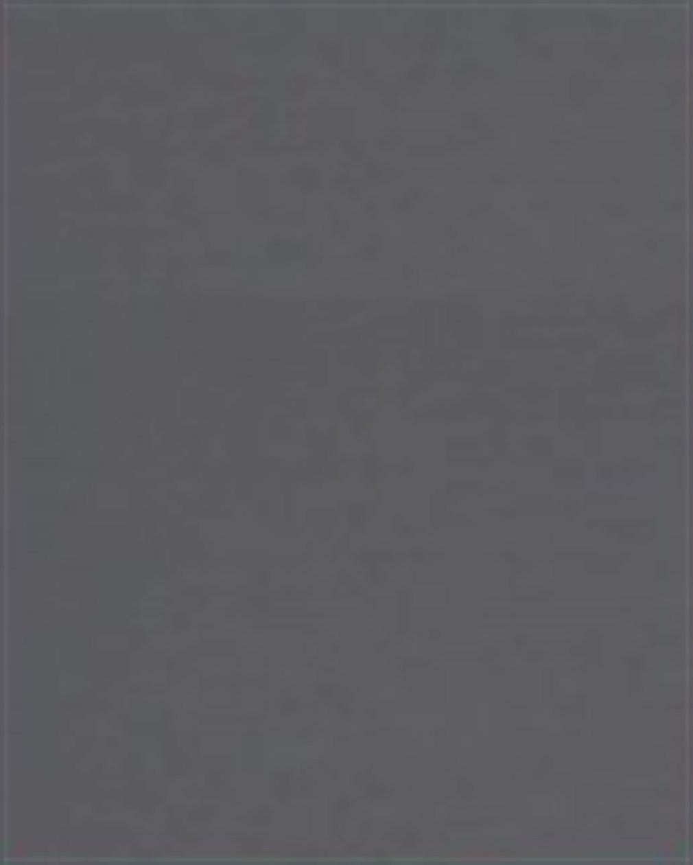 53594 GB Tek Renkli Liner - Mat