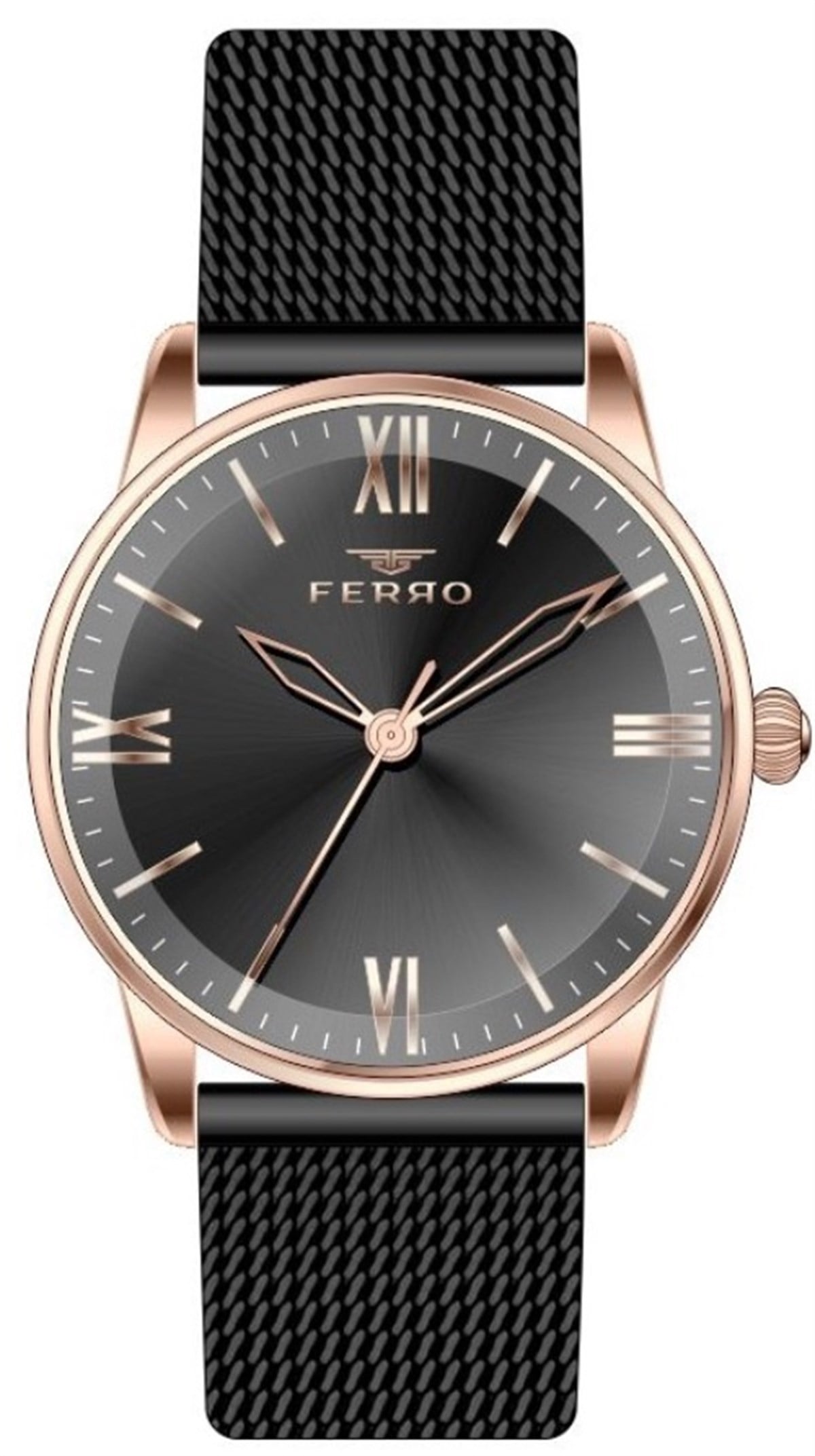 Ferro Siyah Hasır Kordon Kadın Kol Saati F21182C-R F21182C-R