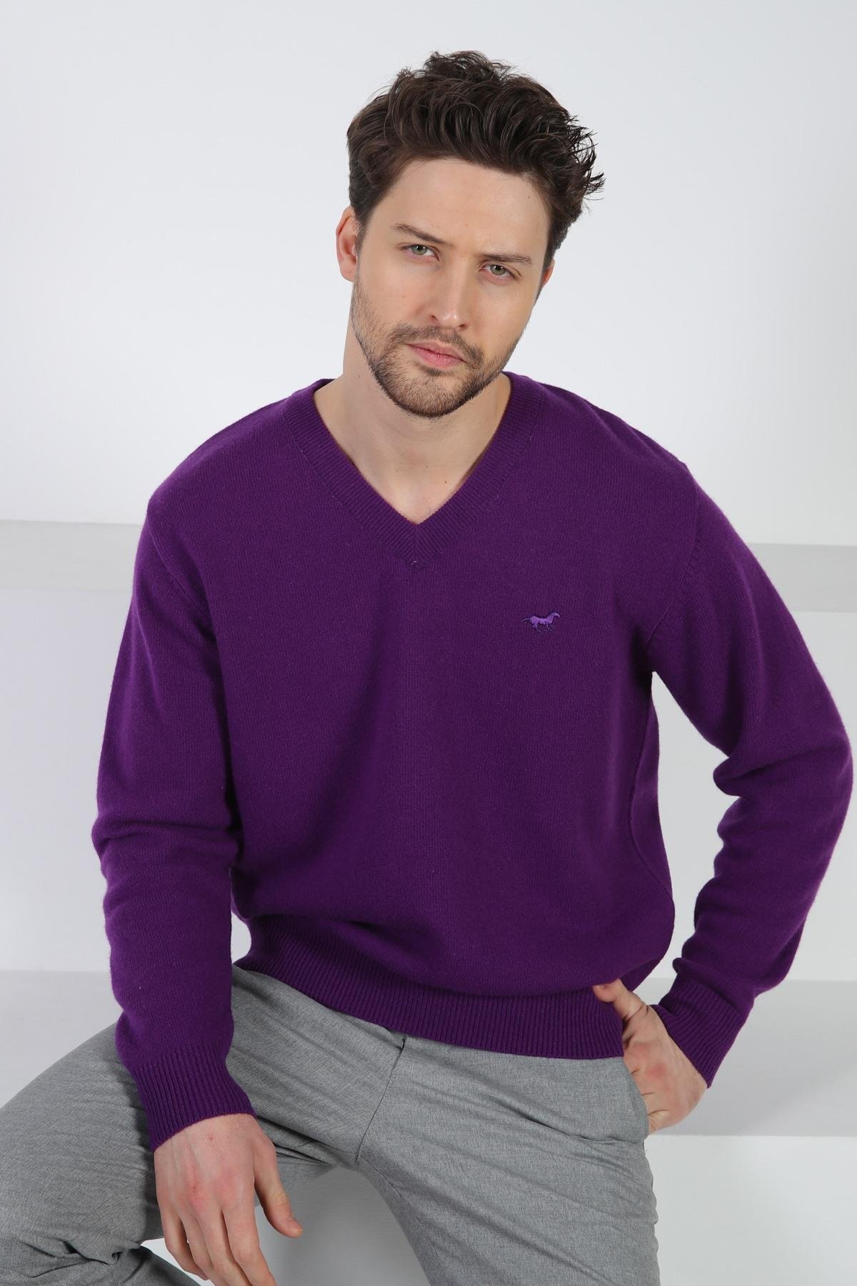 Ferraro Radar V Yaka Erkek Uzun Kollu %100 Kuzu Yünü Triko Kazak