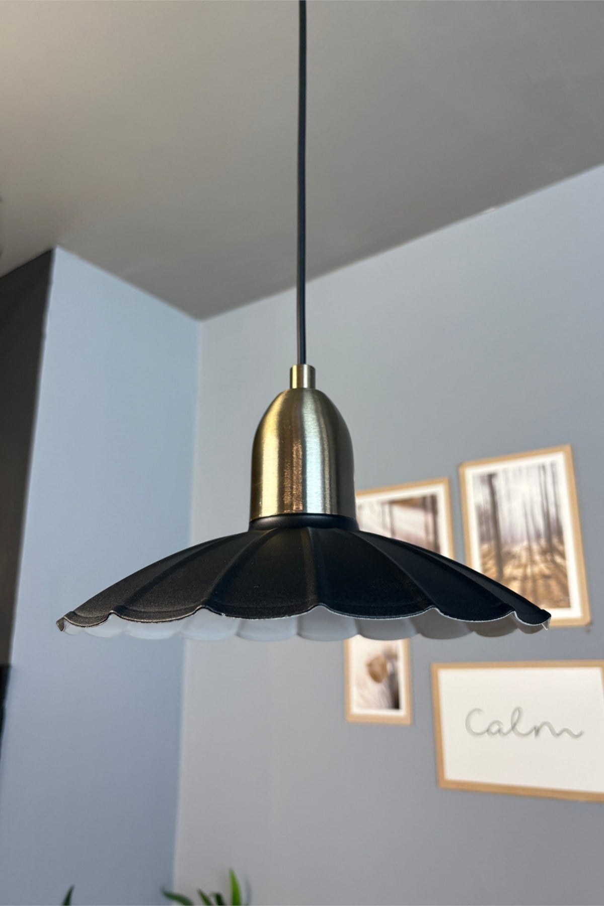 Risso Siyah Metal Avize Eskitme Dome Başlık Tekli Sarkıt Aydınlatma