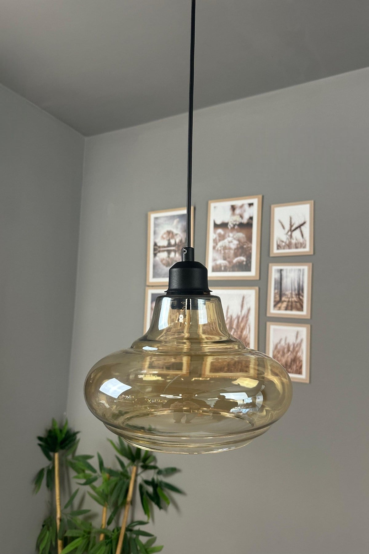 Lumsa Cam Bal Rengi Tekli Avize Siyah Yarım Lale Başlık Retro Sarkıt Lamba Salon Aydınlatma