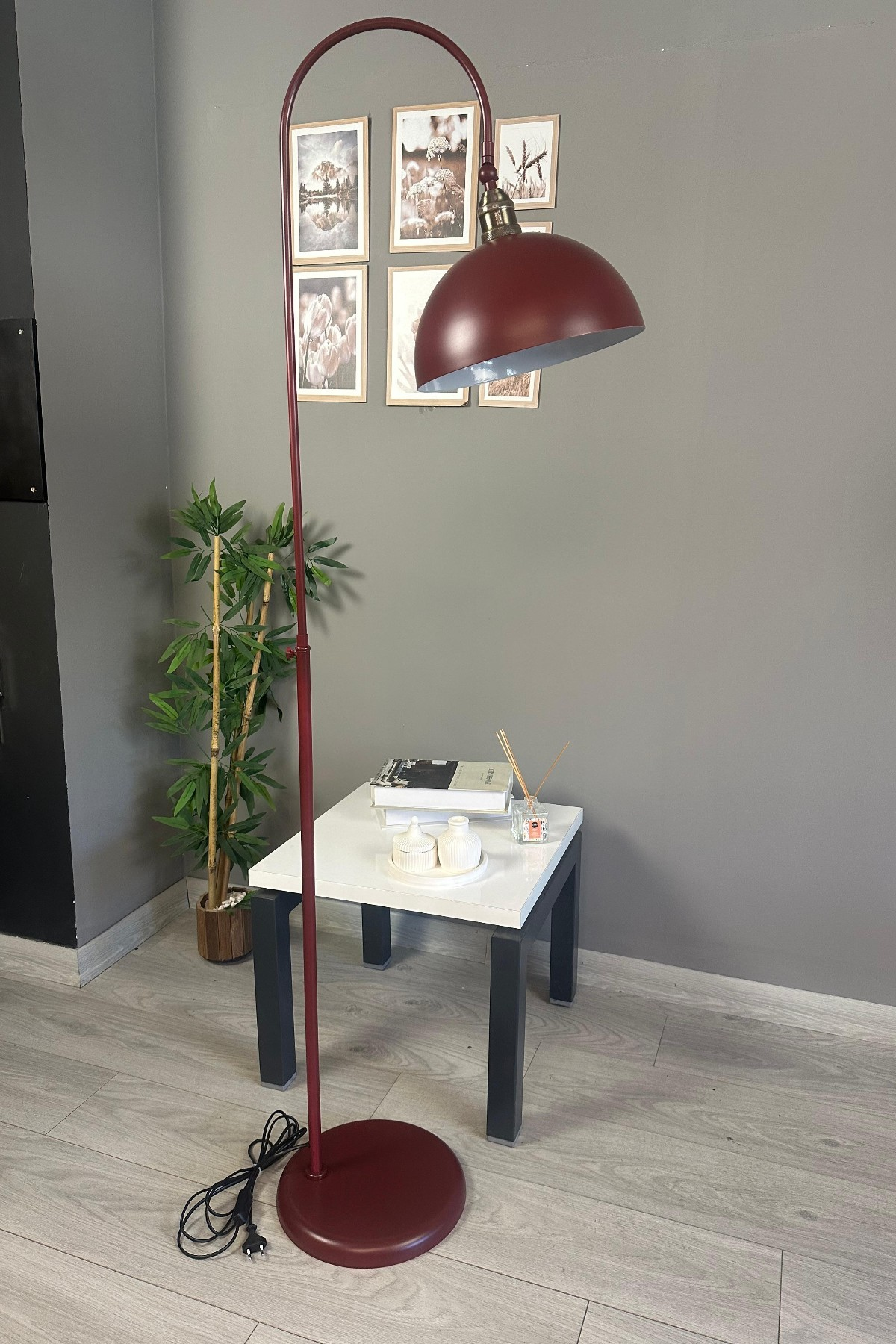 Vişne Çürüğü Lambader Modern Dekoratif Metal Oturma Odası Çalışma Odası Zemin Lambası